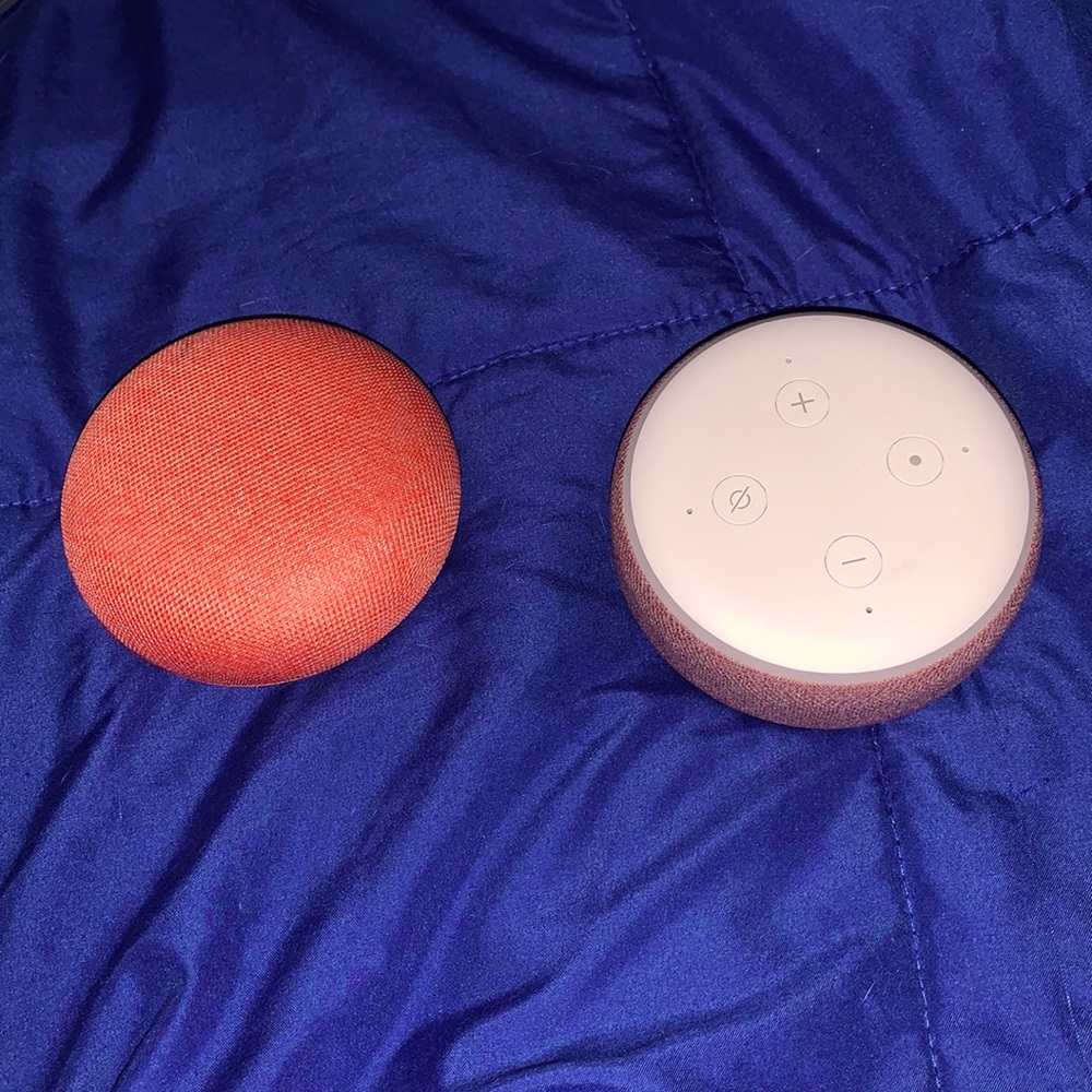 Amazon echo dot (3rd gen) and google home mini (2nd gen)